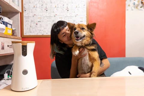 Furbo For Good｜沖縄の離島で犬猫を救う！宮古島SAVE THE ANIMALSさん